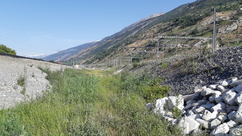 Ökologische Baubegleitung SBB 4. Gleis